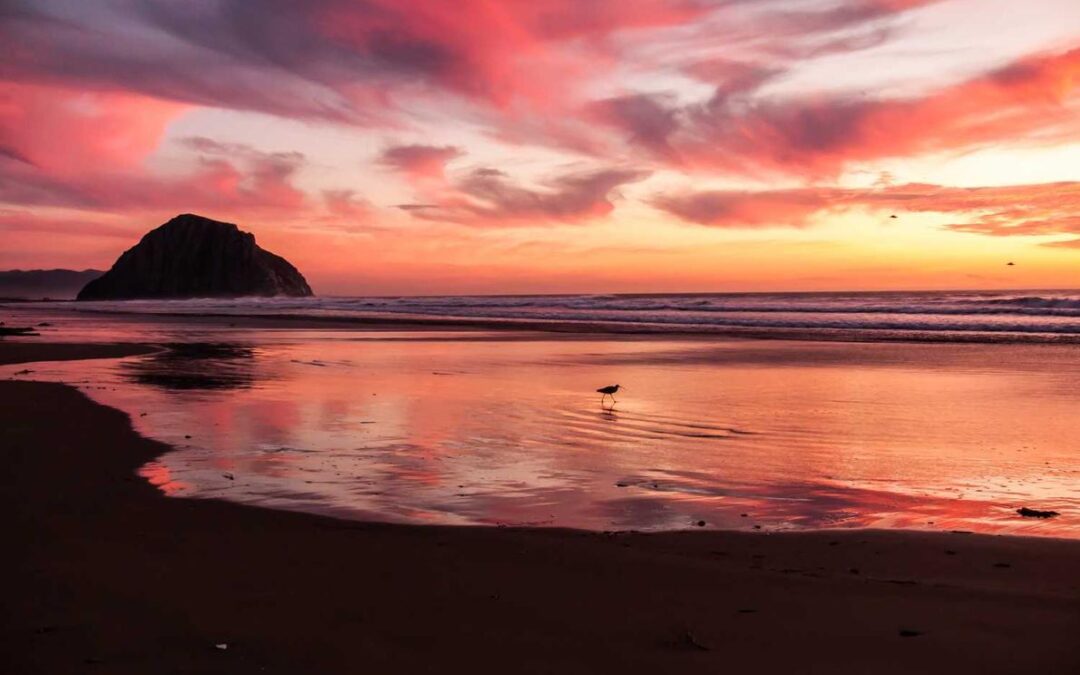 Perferendis necessitatibus et vitae quae